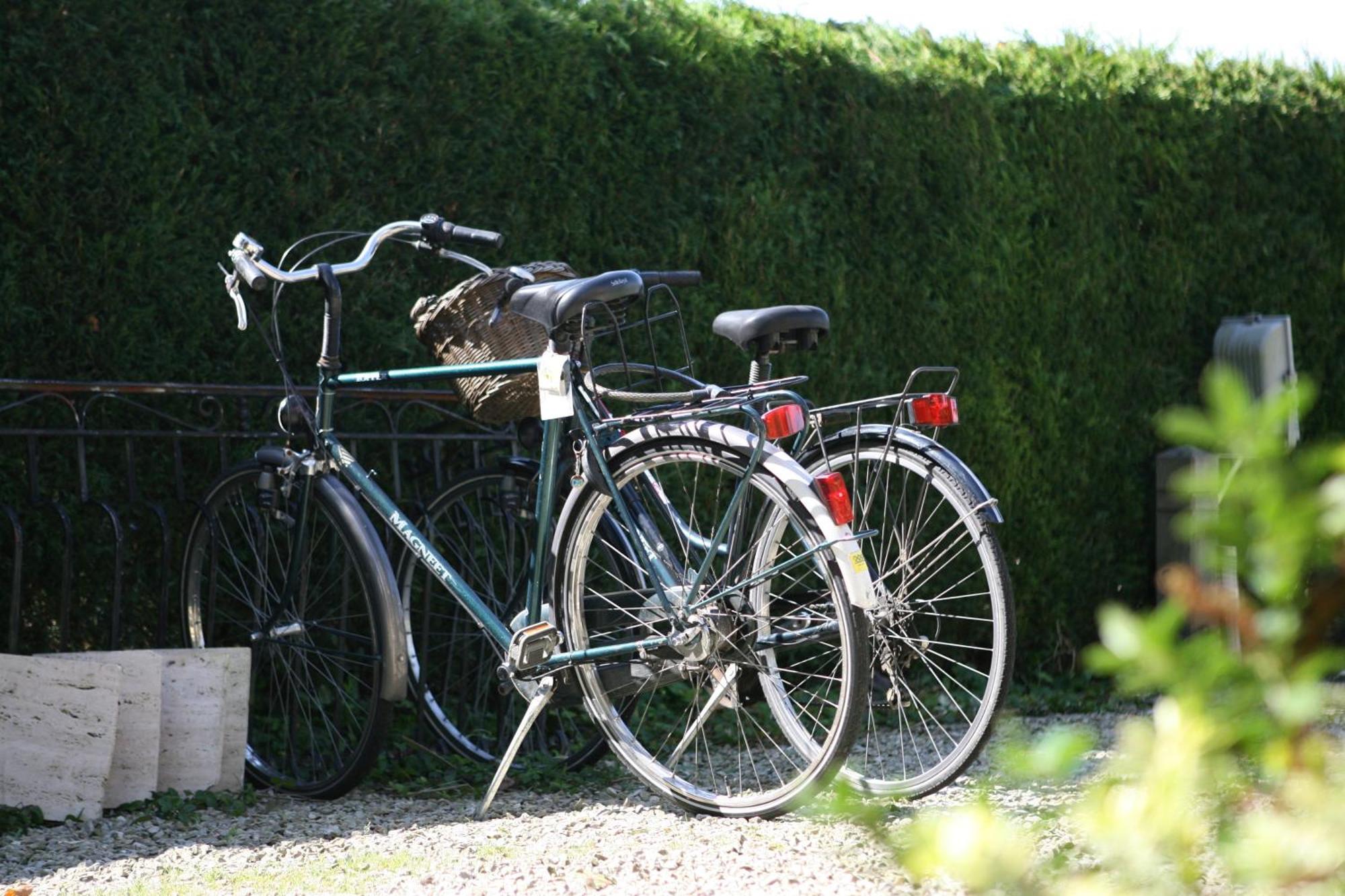 Bed & Breakfast Le Coquin 3*
