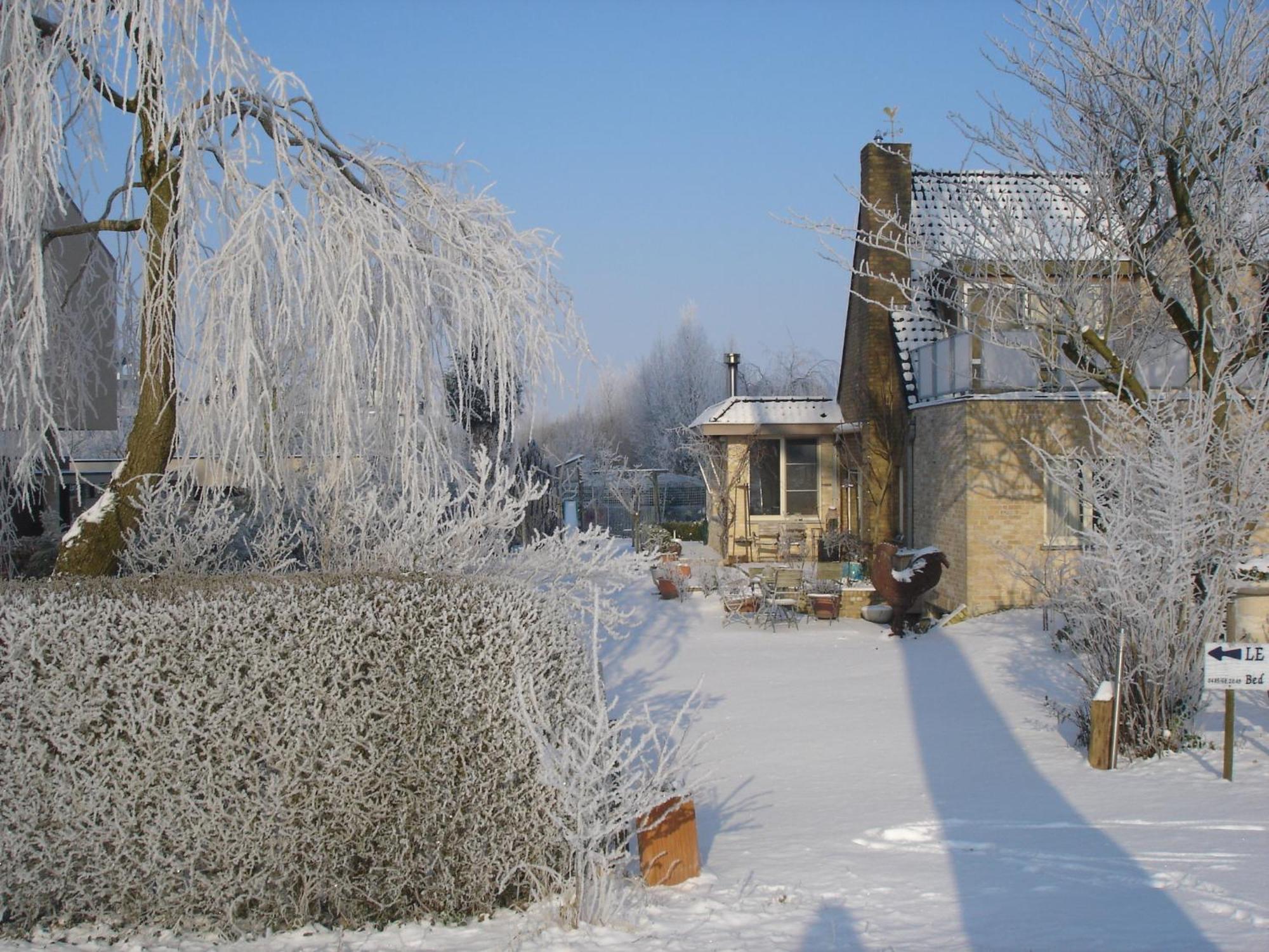 Bed & Breakfast Le Coquin 3*
