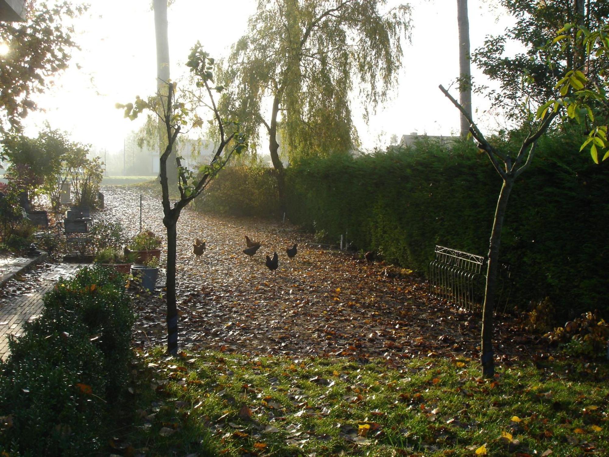 Bed & Breakfast Le Coquin Bruges